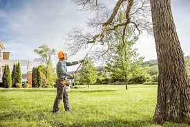 How Our Tree Care Process Works  in  Herriman, UT