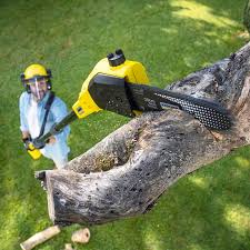 Best Tree Mulching  in Herriman, UT