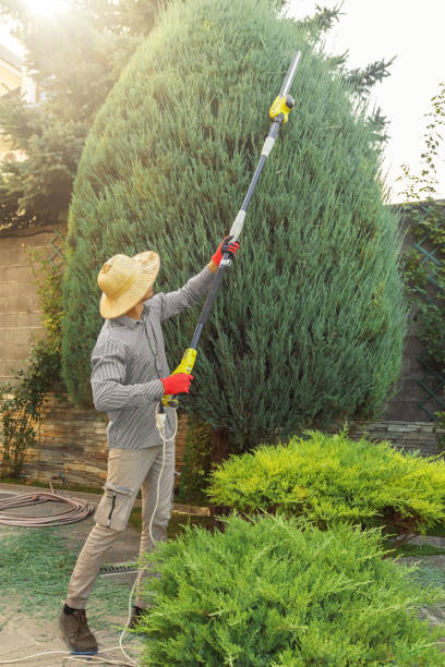 Best Lawn Grading and Leveling  in Herriman, UT