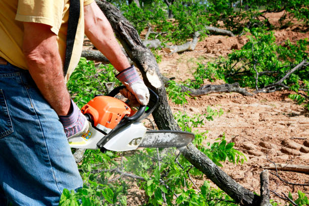 Best Soil Testing and Treatment  in Herriman, UT
